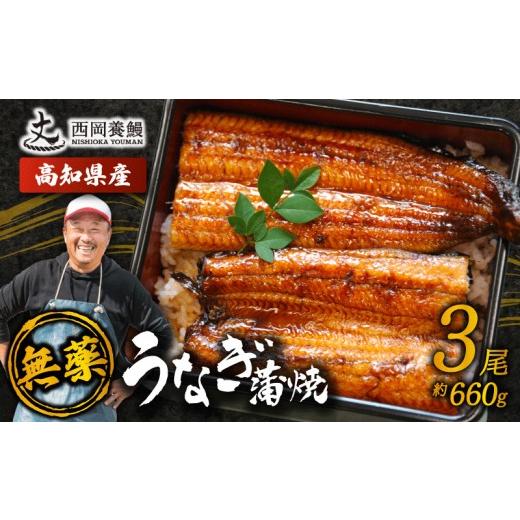 ふるさと納税 うなぎ 高知県 安芸市 国産 うなぎ 蒲焼 3尾 約660g 国産 うなぎ 鰻 ウナギ 蒲焼 うなぎ 蒲焼き うなぎ タレ 山椒 付き うなぎ ウナギ 鰻 冷凍 …