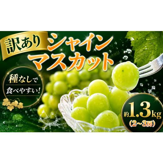 ふるさと納税 ぶどう マスカット 千葉県 香取市 シャインマスカット 2026年8月下旬発送 約 1.3kg(2〜3房) マスカット 菅谷ぶどう園 SGY001 千葉県 香取市 マ…