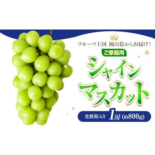 ふるさと納税 ぶどう マスカット 岡山県 浅口市 ご家庭用 フルーツ王国 岡山県産 シャインマスカット 化粧箱入り 1房 (約800g) 先行予約 Lino & Kai Farm[20…