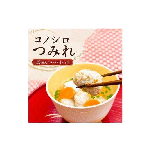 ふるさと納税 魚貝類 千葉県 船橋市 コノシロ つみれ