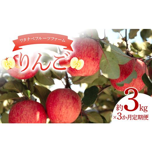 ふるさと納税 りんご 福島県 鏡石町 農家直送 3か月定期便 ワタナベフルーツファームのりんごの定期便 りんご リンゴ フルーツ 果物 F6Q-524