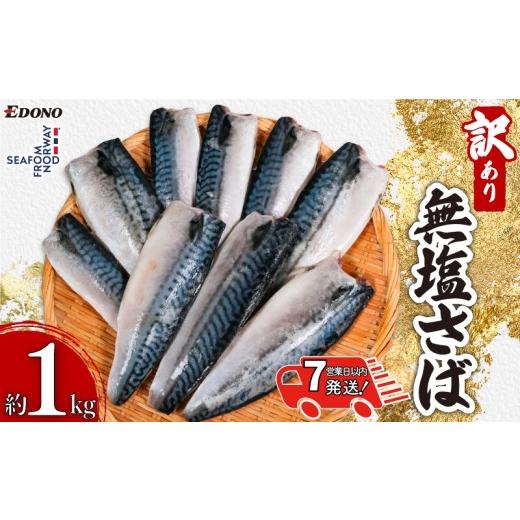 ふるさと納税 旬の鮮魚等 千葉県 銚子市 スピード配送 訳あり 無塩さば 1kg さば 鯖 さばフィーレ 鯖フィーレ さばフィレ 鯖フィレ 規格外 わけあり 不揃い …