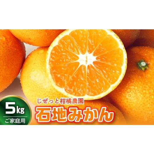ふるさと納税 みかん・柑橘類 広島県 呉市 先行受付 2026年11月上旬〜発送 滴る果汁・甘〜い石地みかん5kg 家庭用 ku212-001-26