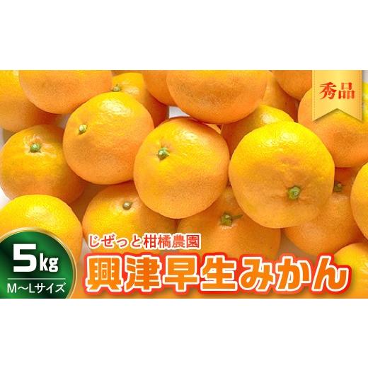ふるさと納税 果物類 みかん 広島県 呉市 先行受付 2026年11月上旬〜発送 甘さと酸味が丁度いい 濃厚興津早生みかん5kg 秀品(M〜L:約40個) ku212-005-26