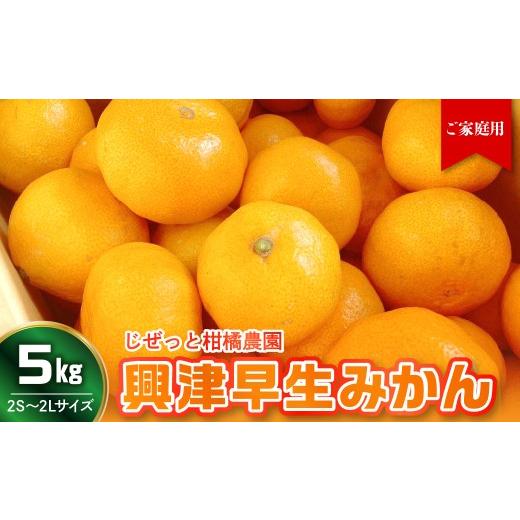 ふるさと納税 果物類 みかん 広島県 呉市 先行受付 2026年11月上旬〜発送 甘さと酸味が丁度いい 濃厚興津早生みかん5kg 家庭用(2S〜2L:約55個) ku212-006-…