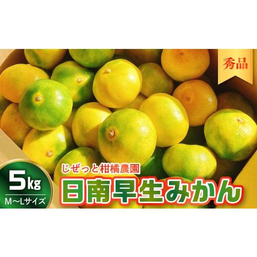 ふるさと納税 果物類 みかん 広島県 呉市 先行受付 2026年10月上旬〜発送 さっぱり日南極早生みかん 秀品 5kg(M〜L 約40個) ku212-007-26