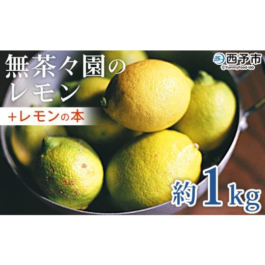 ふるさと納税 みかん・柑橘類 レモン 愛媛県 西予市 先行予約 無茶々園のレモン 約1kg+レモンの本 フルーツ 果物 くだもの れもん 檸檬 柑橘 香酸柑橘 国産 …