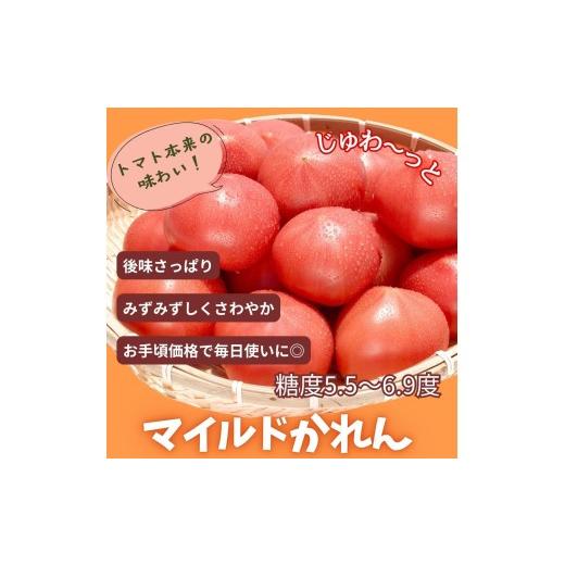 ふるさと納税 野菜類 トマト 宮城県 大崎市 糖度5.5〜6.9度のトマト マイルドかれん 1kg | de-karen-1kg 1kg