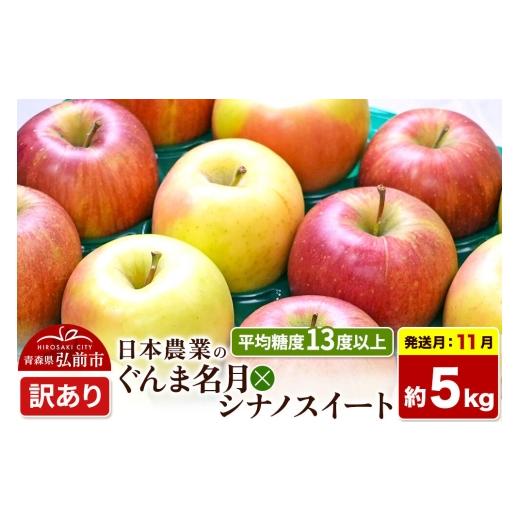 ふるさと納税 りんご 青森県 弘前市 26年11月発送 りんご ぐんま名月×シナノスイート 訳あり 約5kg 平均糖度13度以上 青森県 弘前市 果物 フルーツ 林檎 リ…