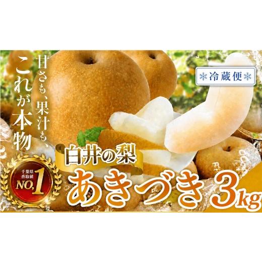 ふるさと納税 梨 千葉県 白井市 冷蔵便 あきづき 3kg 5〜10玉 あきづき・冷蔵便・通常品