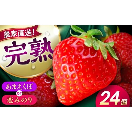 ふるさと納税 いちご 熊本県 合志市 先行予約 2027年1月下旬発送開始 いちご 24個(500g程度) / (あまえくぼ or 恋みのり) 苺 ストロベリー フルーツ 果物 く…