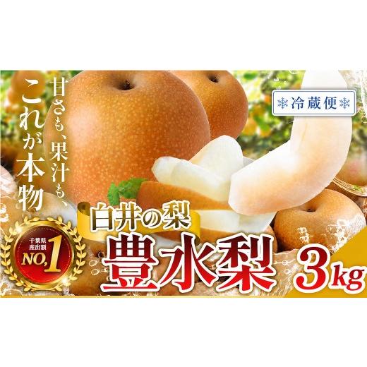 ふるさと納税 梨 千葉県 白井市 冷蔵便 豊水 3kg 5〜10玉 豊水・冷蔵便・通常品