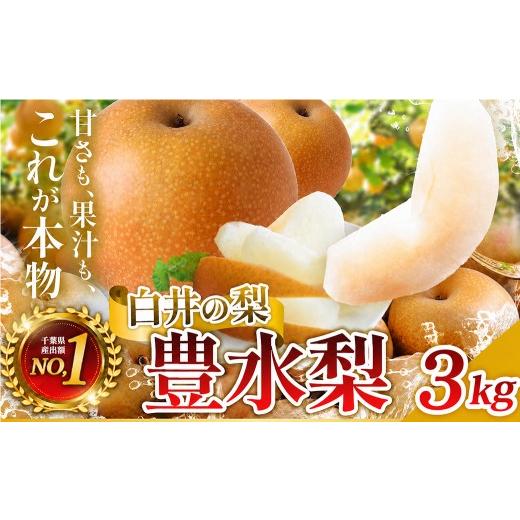 ふるさと納税 梨 千葉県 白井市 常温便 豊水 3kg 5〜10玉 豊水・常温便・通常品