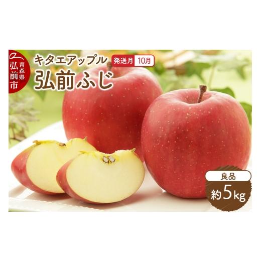 ふるさと納税 りんご 青森県 弘前市 26年10月発送 りんご 弘前ふじ 良品 約5kg キタエアップル 青森県 弘前市 先行予約 弘前ふじ りんご 贈り物 アップル お…