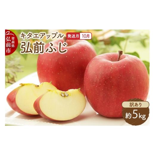 ふるさと納税 りんご 青森県 弘前市 26年10月発送 りんご 弘前ふじ 訳あり 約5kg キタエアップル 青森県 弘前市 先行予約 弘前ふじ りんご 訳あり 家庭用 ア…
