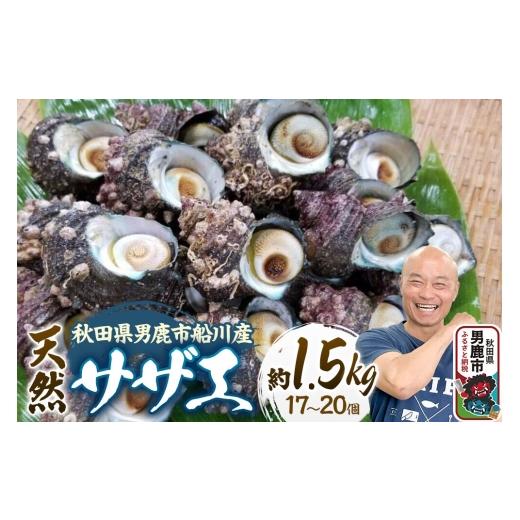 ふるさと納税 サザエ 秋田県 男鹿市 サザエ 約1.5kg 17個〜20個前後入り 秋田県男鹿市 つりショップ海風 さざえ 海鮮 BBQ 天然 刺身 栄螺 つぼ焼き壺焼き つま…