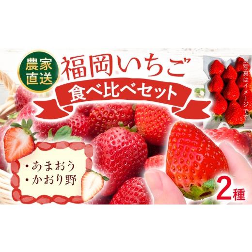 ふるさと納税 いちご 福岡県 古賀市 期間限定 福岡 いちご 食べ比べセット あまおう かおり野 2種 苺 フルーツ 果物 くだもの 福岡県産 農家直送 詰め合わせ …