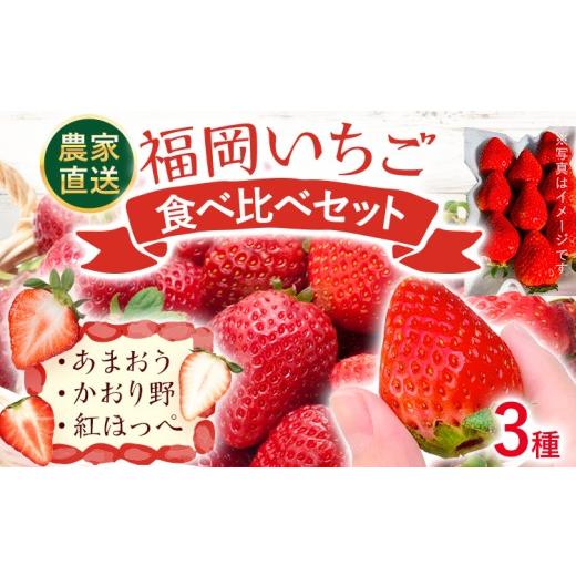ふるさと納税 いちご 福岡県 古賀市 期間限定 福岡 いちご 食べ比べセット あまおう かおり野 紅ほっぺ 3種 苺 フルーツ 果物 くだもの 福岡県産 農家直送 詰…