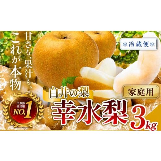 ふるさと納税 梨 千葉県 白井市 冷蔵便・訳あり(ご家庭用) 幸水 3kg 6〜10玉 幸水・冷蔵便・訳あり(ご家庭用)