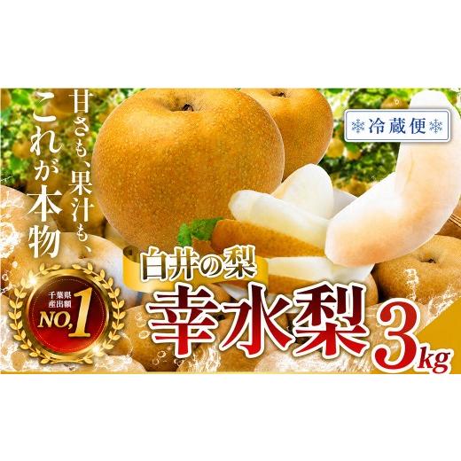 ふるさと納税 梨 千葉県 白井市 冷蔵便 幸水 3kg 6〜10玉 幸水・冷蔵便・通常品