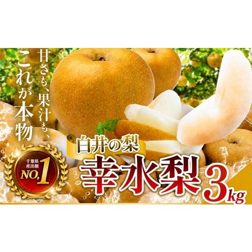 ふるさと納税 梨 千葉県 白井市 常温便 幸水 3kg 6〜10玉 幸水・常温便・通常品