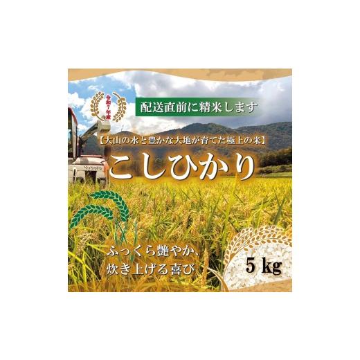 ふるさと納税 米 コシヒカリ 鳥取県 湯梨浜町 283M. 山崎農園 こしひかり 5kg 令和7年産