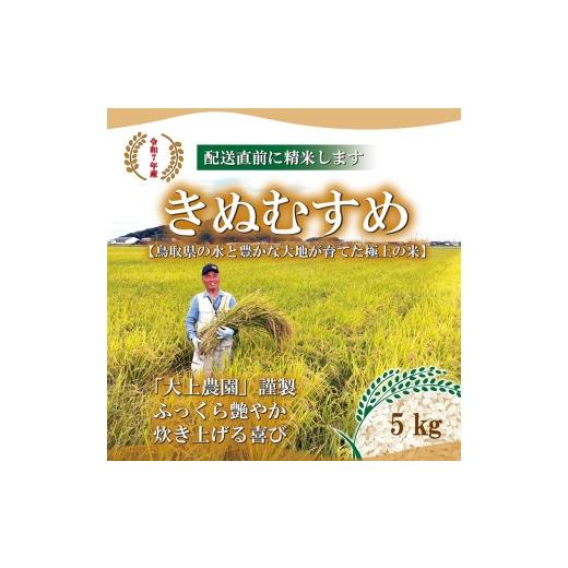ふるさと納税 米 きぬむすめ 鳥取県 湯梨浜町 285M. 大上農園 きぬむすめ 5kg 令和7年産