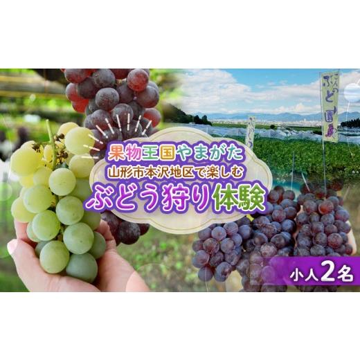 ふるさと納税 体験チケット 山形県 山形市 時間無制限 ぶどう狩り体験 (小学生以下2名利用) FY26-093 小学生以下2名利用