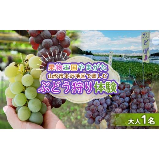 ふるさと納税 体験チケット 山形県 山形市 時間無制限 ぶどう狩り体験 (大人1名利用) FY26-094 大人1名利用