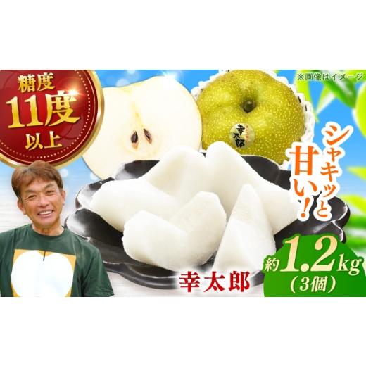 ふるさと納税 梨 佐賀県 - 化粧箱入り 幸太郎(幸水)3個入(約1.2kg)/ 梨 伊万里梨 なし / 佐賀県 / 大川三世代 41A