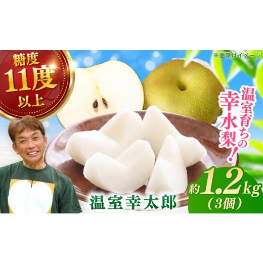 ふるさと納税 梨 佐賀県 - 化粧箱入り 温室幸太郎(幸水)3個入(約1.2kg)/ 梨 伊万里梨 なし?/ 佐賀県 / 大川三世代 41A