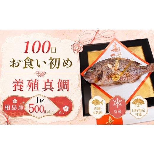 ふるさと納税 魚貝類 鯛 高知県 大月町 お食い初め 真鯛 1尾 500g以上 尾頭付き 鯛 のみ 1匹 真空パック 祝い鯛 百日祝い 100日祝い 鯛の塩焼き お食初め 自宅…