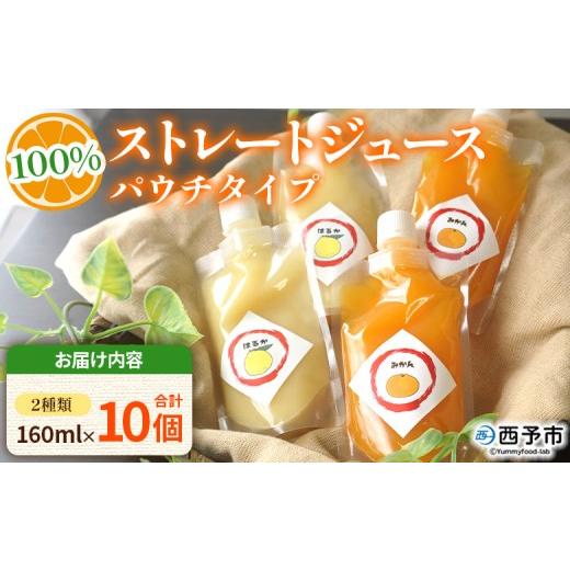 ふるさと納税 果汁飲料 みかん 愛媛県 西予市 100%ストレートジュース パウチタイプ 160ml×10個(2種類×5) 『1か月以内に順次発送予定』種類はおまかせ …