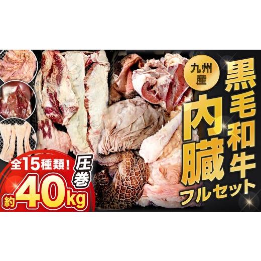 ふるさと納税 牛肉 ホルモン 福岡県 北九州市 2個口 数量限定 九州産 黒毛和牛 内臓セット 15種類 計約40kg 詰合せ 丸腸 角膜 サガリ タン アキレス ハチノス…