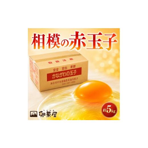 ふるさと納税 卵(鶏、烏骨鶏等) 神奈川県 愛川町 相模の赤玉子約5kg 75個+割れ保証5個 〜 神奈川県 愛川町 〜 1745588