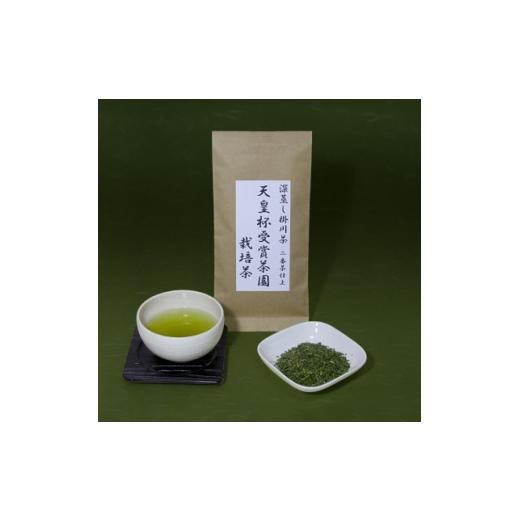 ふるさと納税 お茶類 静岡県 掛川市 天皇杯受賞茶園栽培茶2番茶仕上 深蒸し掛川茶100g×5袋 1749863