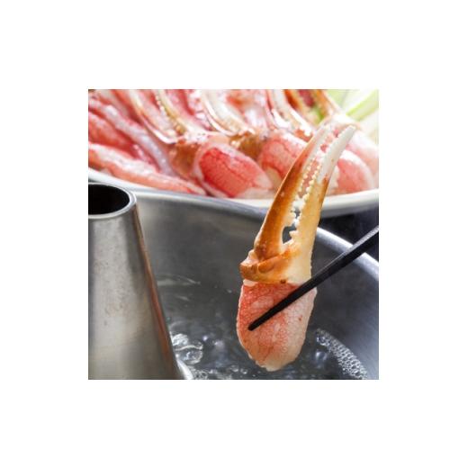ふるさと納税 カニ 北海道 小清水町 本ずわい蟹 爪・肩肉食べ比べセット 1kg 各500g カニ鍋・焼きガニ 1750955