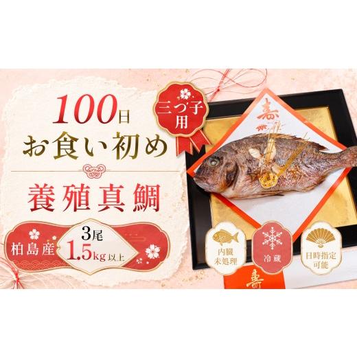 ふるさと納税 魚貝類 鯛 高知県 大月町 お食い初め 真鯛 3尾 三つ子 1.5kg以上 尾頭付き 鯛 のみ 3匹 真空パック 祝い鯛 百日祝い 100日祝い 鯛の塩焼き お食…