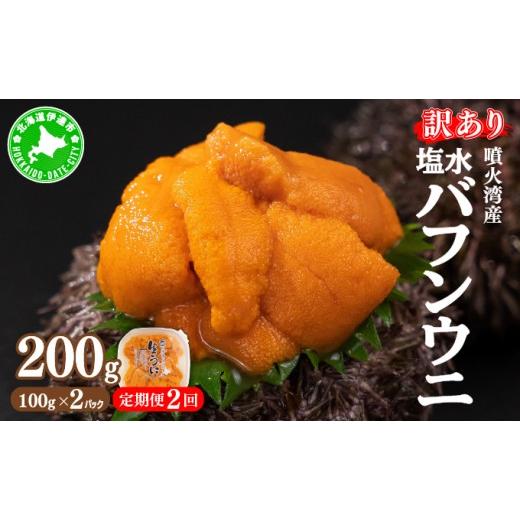 ふるさと納税 ウニ 北海道 伊達市 チョイス限定 2ヶ月定期便 訳あり 北海道 噴火湾産 塩水 バフンウニ 100g 2パック 計200g ysk-009 うに ウニ 雲丹 海鮮 海…