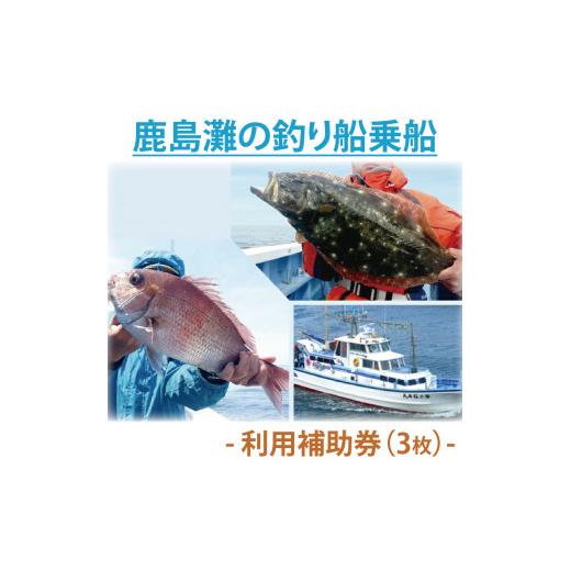 ふるさと納税 体験チケット 茨城県 鹿嶋市 釣り 鹿島灘の釣り船 利用補助券 3枚 フィッシング アクティビティ 夏休み ギフト 送料無料 鹿嶋灘 釣り つり 釣り…