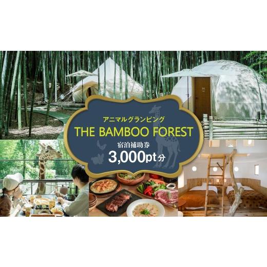 ふるさと納税 宿泊券 千葉県 市原市 アニマルグランピング「THE BAMBOO FOREST」宿泊補助券 3,000pt 宿泊補助券 3,000pt 寄附金額:12,000円