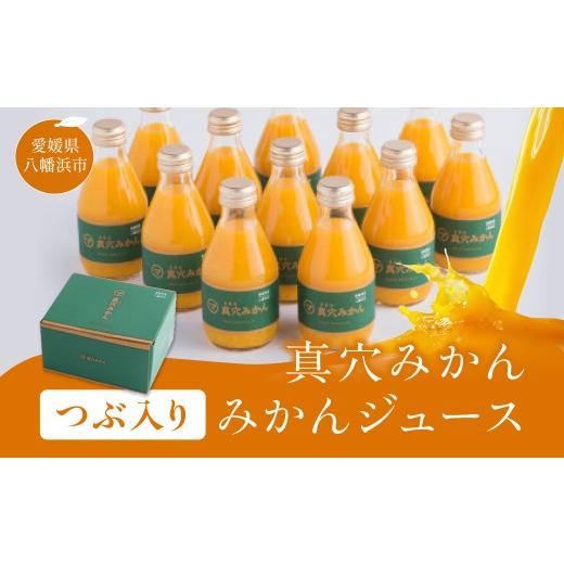 ふるさと納税 果汁飲料 みかん 愛媛県 八幡浜市 真穴みかんつぶ入りみかんジュース E43-7 1490861 YW