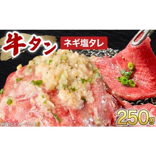 ふるさと納税 牛肉 タン 福井県 敦賀市 訳あり 牛タン 250g×1パック ネギ塩タレ漬け 韓国焼肉 焼肉 焼き肉 BBQ 鉄板焼き 肉 お肉 牛肉 牛 たん 味付き タレ漬…