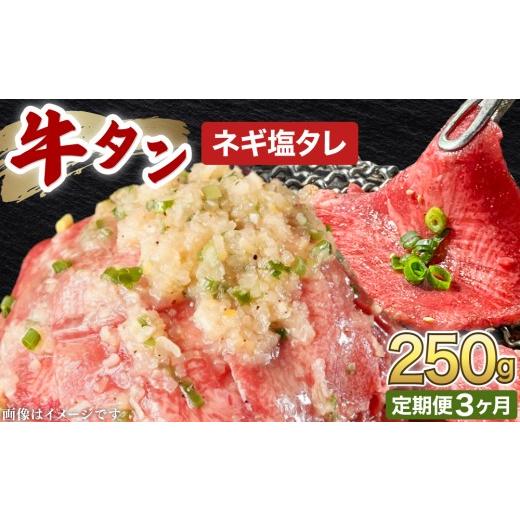 ふるさと納税 牛肉 タン 福井県 敦賀市 訳あり 牛タン 250g×1パック ネギ塩タレ漬け 3ヶ月定期便 韓国焼肉 焼肉 焼き肉 BBQ 鉄板焼き 肉 お肉 牛肉 牛 たん …