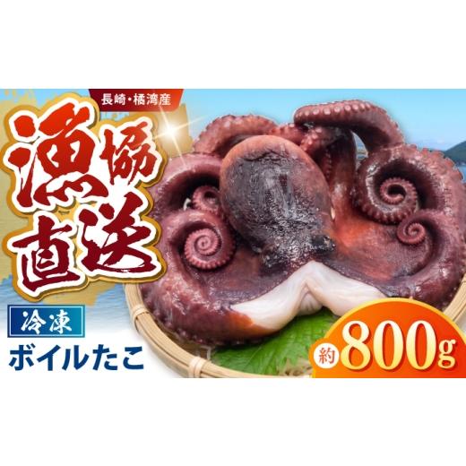 ふるさと納税 タコ 長崎県 諫早市 肉厚、極上の旨味 冷凍ボイルタコ 約800g / タコ たこ 蛸 ボイル ボイルタコ 冷凍 冷凍タコ 丸蛸 丸ごと 産地直送 / 諫早…
