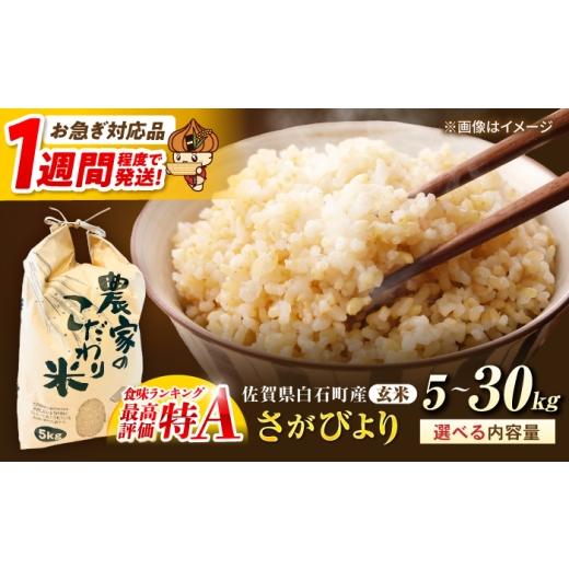 ふるさと納税 玄米 佐賀県 白石町 スピード発送 令和7年産 さがびより(玄米) 5kg かわさきいちご