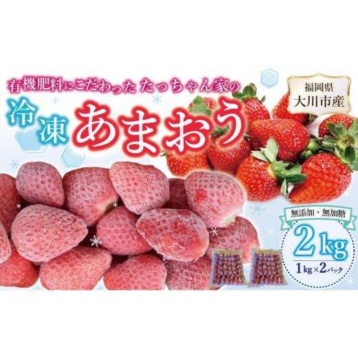 ふるさと納税 いちご 福岡県 大川市 有機肥料にこだわった たっちゃん家の完熟冷凍あまおう 1kg×2袋 計2kg