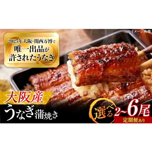ふるさと納税 うなぎ 大阪府 藤井寺市 全12回定期便 鰻 鰻の蒲焼 2尾 /美陵鰻 鰻 うなぎ ウナギ 蒲焼 蒲焼き かば焼き 白焼き 白焼 肉厚 うな重 うな丼 ひつ…