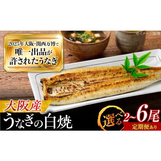 ふるさと納税 うなぎ 大阪府 藤井寺市 全3回定期便 鰻 美陵鰻の白焼 1尾 / 美陵鰻 鰻 うなぎ ウナギ 蒲焼 蒲焼き かば焼き 白焼き 白焼 肉厚 うな重 うな丼 …