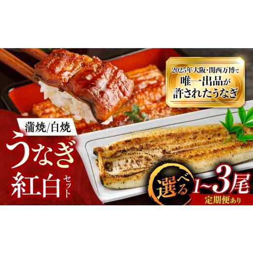 ふるさと納税 うなぎ 大阪府 藤井寺市 鰻 美陵鰻の蒲焼2尾×白焼2尾 紅白セット / 美陵鰻 鰻 うなぎ ウナギ 蒲焼 蒲焼き かば焼き かばやき 白焼き 白焼 肉厚…